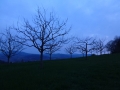 2015-04-17_4BergeLauf_16.jpg