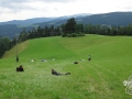 Auszeit-Outdoortag mit der Fachschule Buchhof
