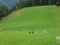 Auszeit-Outdoortag mit der Fachschule Buchhof