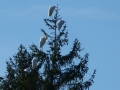1 P1450593
