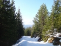 2015-03_21_Schneerosenwanderung_08.jpg