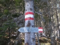 2015-03_21_Schneerosenwanderung_09.jpg