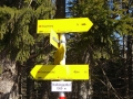 2015-03_21_Schneerosenwanderung_12.jpg