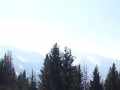 2015-03_21_Schneerosenwanderung_19.jpg