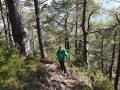 2015-03_21_Schneerosenwanderung_20.jpg